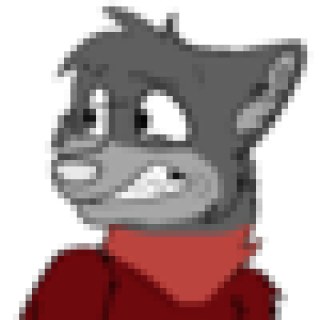 SilverFox345