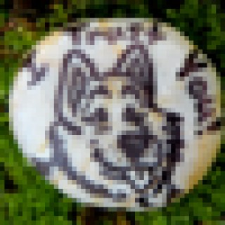 Leonca