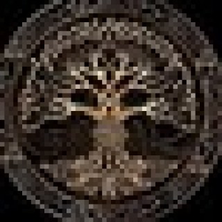 PrimeYggdrasil