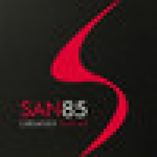 san85
