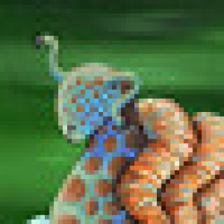 CetivaRose