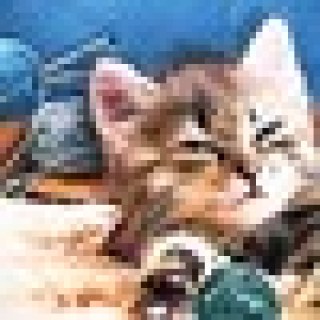 Artygirl31