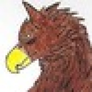 TheGryphonPrince1214