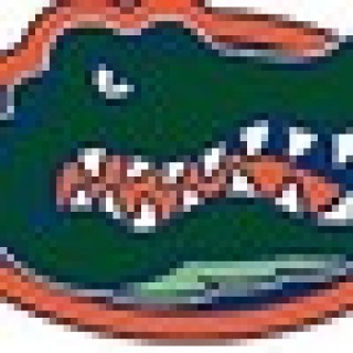 Gatormvl