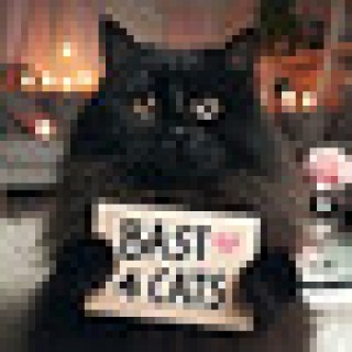 bast4cats