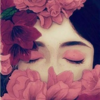 🪶AMODINI