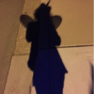 kpsxoxo39