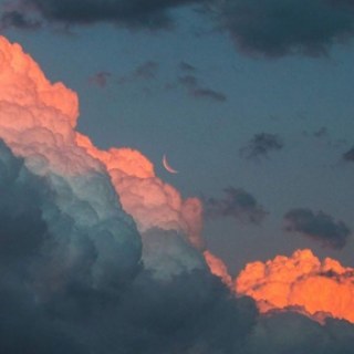 •°bittersweet°•