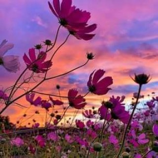 Poetry By Jenny, Follow Your Heart
