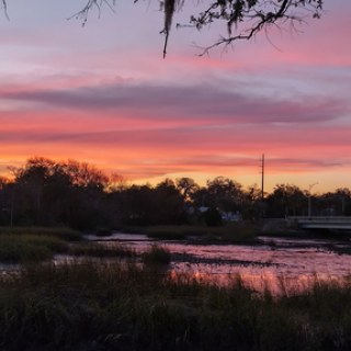 SBarnes