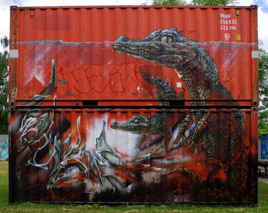 reptile's box