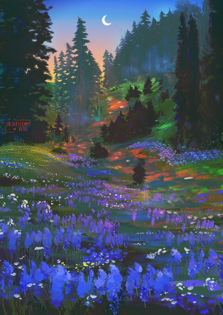 Meadow