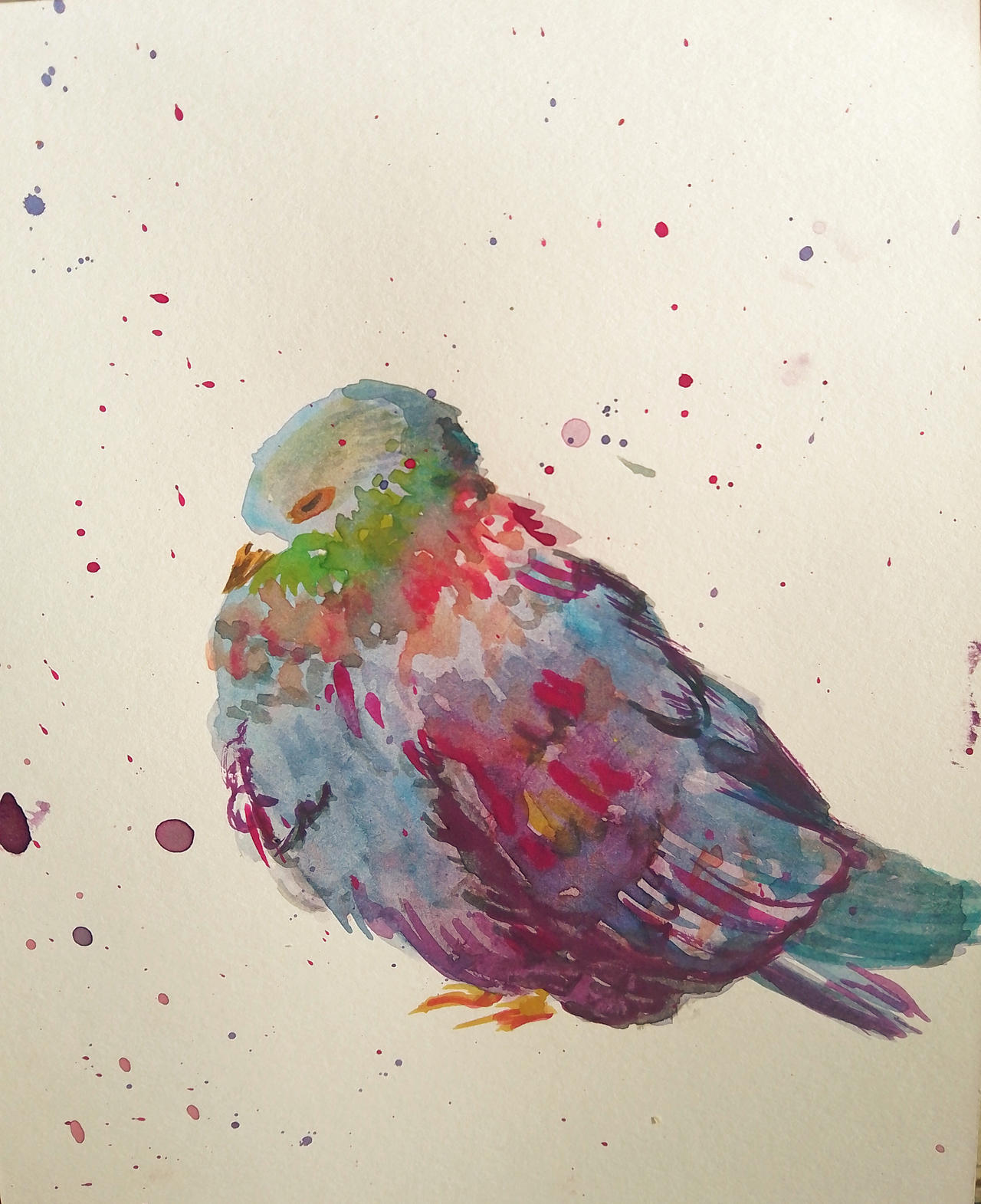 Pidgey