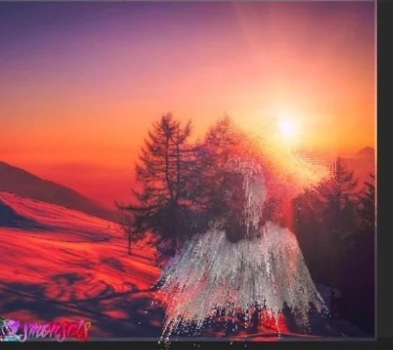 Seany - SORT  sunset - exposure icolorama