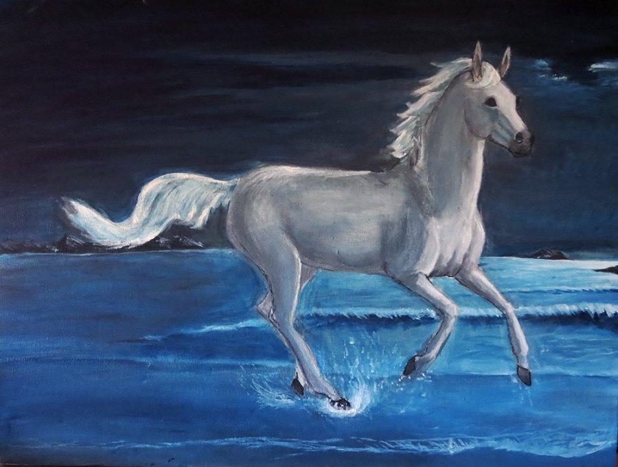MIDNIGHT WATERS