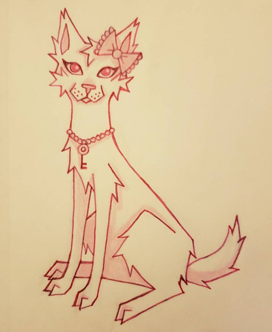 Charmmy kitty