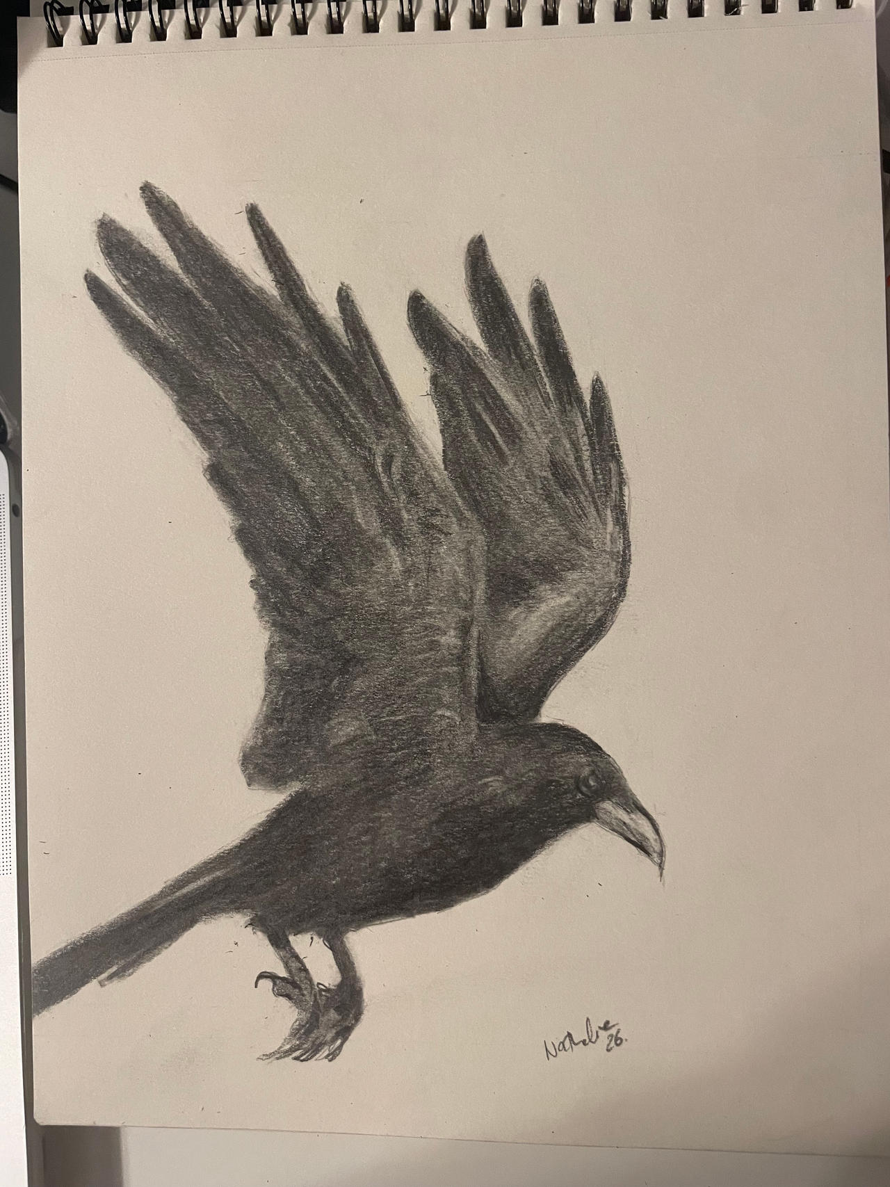 Raven
