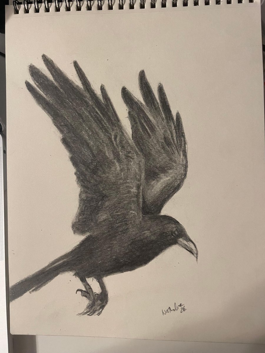Raven