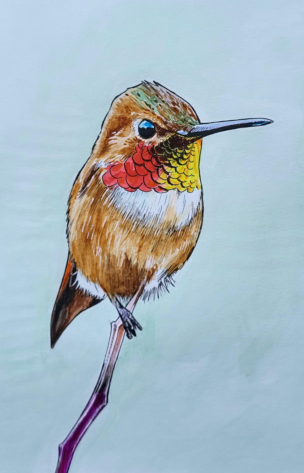bird