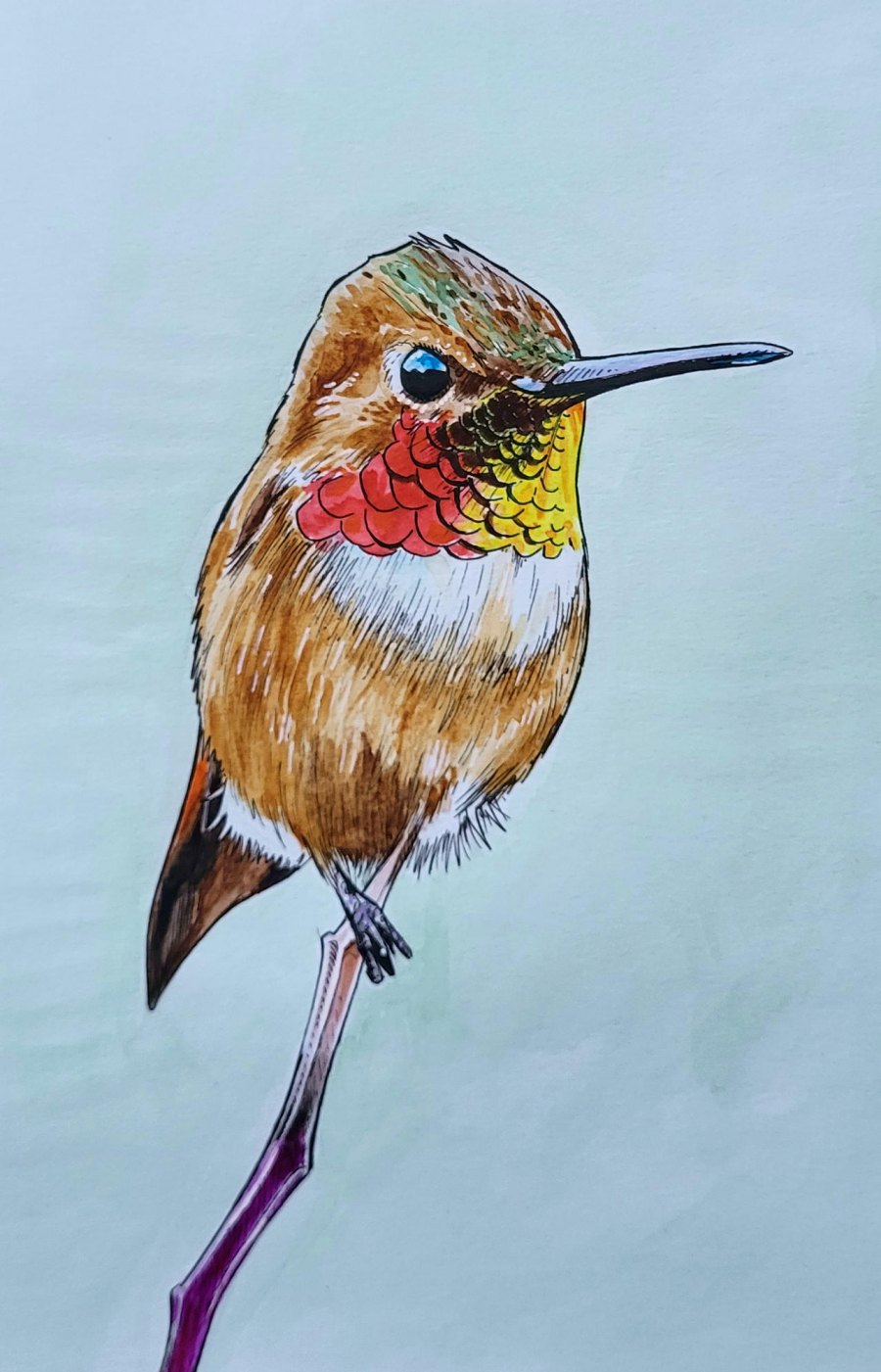 bird