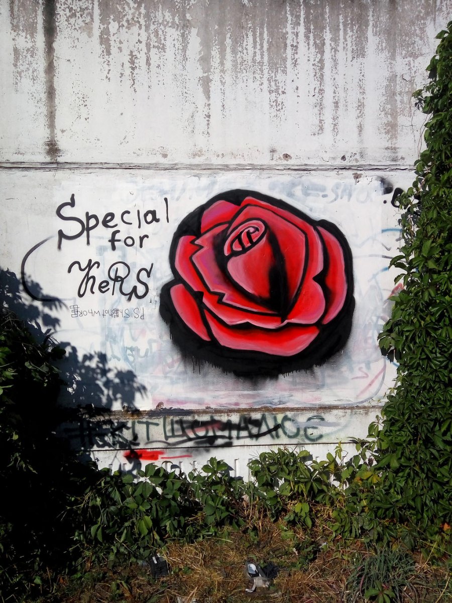 rose