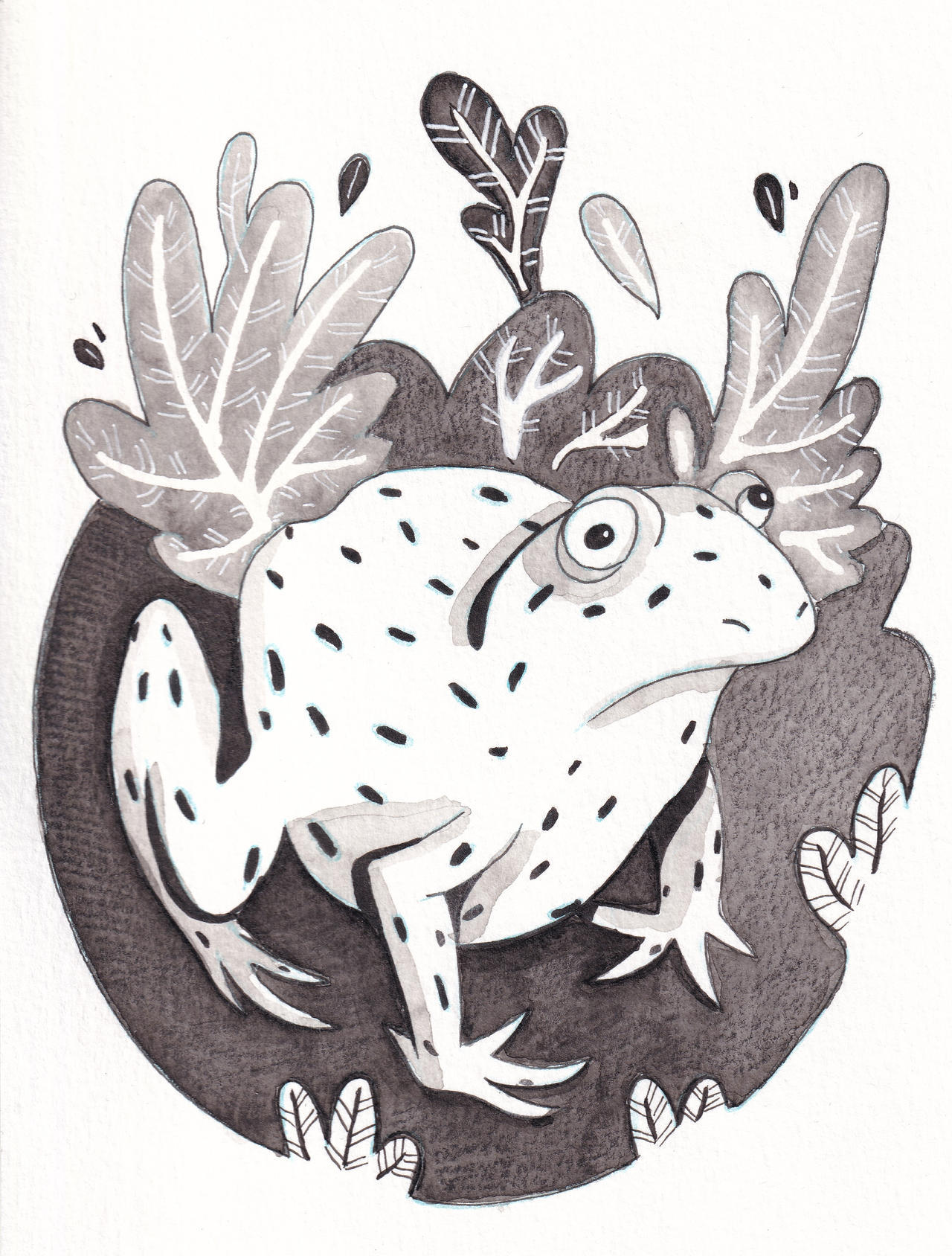 Frog