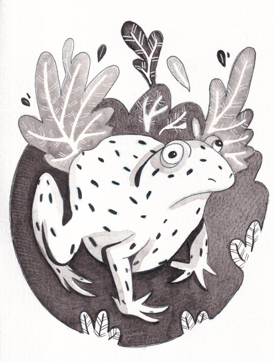 Frog